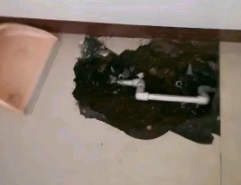 海口卫生间测漏水多少钱